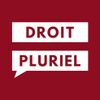 Logo of the association Droit Pluriel